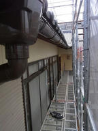 20110729E.jpg