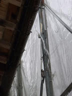 20110730E.jpg