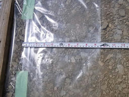 20120407C.jpg