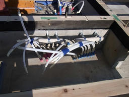 20120504I.jpg