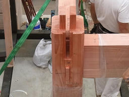 20120509C.jpg