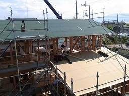20120511D.jpg