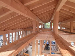 20120513E.jpg