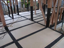 20120515C.jpg