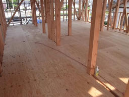 20120517B.jpg
