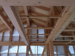 20120522D.jpg