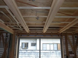 20120626D.jpg