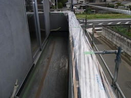 20120911D.jpg