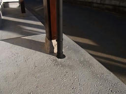 20121026E.jpg