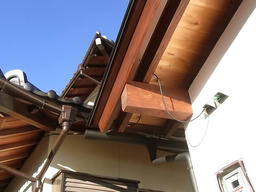 20121026F.jpg