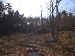 20130107B.jpg