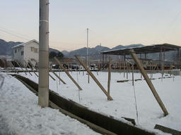 20130116B.jpg