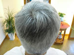 CIMG0038.JPG