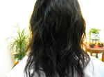CIMG0095.JPG