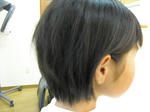 CIMG0132.JPG