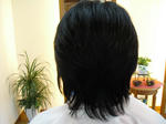 CIMG0108.JPG