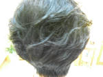 CIMG0129.JPG