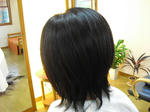 CIMG0520.JPG