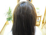 CIMG0529.JPG