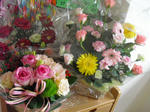 CIMG0546.JPG