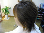 CIMG0837.JPG