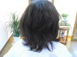 CIMG0901.JPG