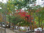 CIMG0977.JPG