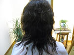 CIMG0992.JPG