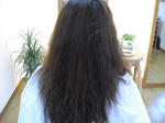 d63da750.JPG