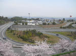 CIMG3083.JPG