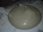 CIMG5760.JPG