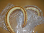 CIMG6865.JPG