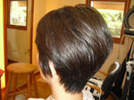 CIMG6973.JPG