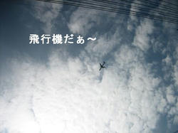 918212edjpeg