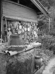 IMG_0354-2.jpg