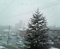 200712301250000.jpg