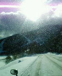 200801031035000.jpg