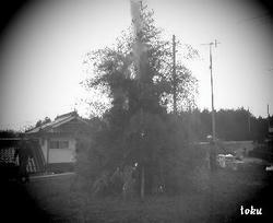 200801131107000.jpg