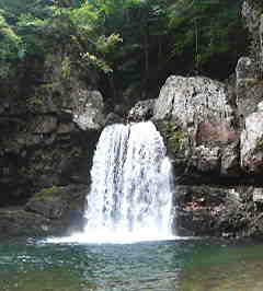P1000002.jpg