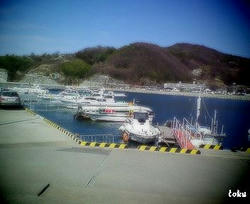 200802111132000.jpg