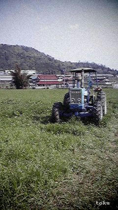 2008042914580000.jpg