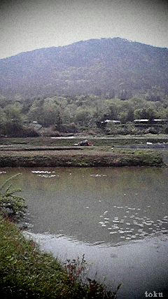 2008042915110000.jpg