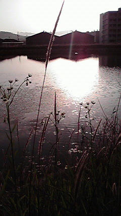 2008053118180001.jpg