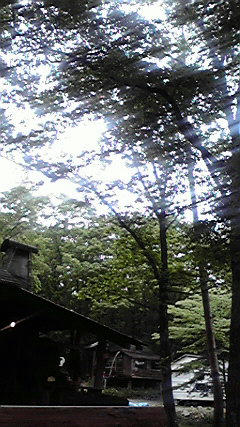 2008060812230000.jpg