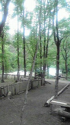 2008060812240001.jpg
