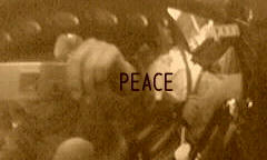 2009020117200000.jpg