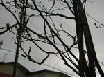 nanakamado070414b_u1.jpg