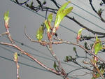 nanakamado070414c_u2.jpg