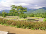 4nemu070722b_u1.jpg