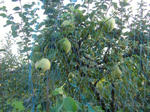 4younasi070923c_u1.jpg